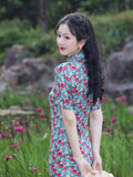 Eva Silken Radiance Qipao Cheongsam