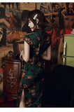 Jaliyah Amazing Qipao Cheongsam