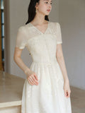 Splendor Mist Apricot Sequin Embroidered Cheongsam Dress