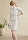 Christina Beautiful Qipao Cheongsam