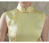 Ivy Velvet Elegance Qipao Cheongsam