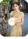 Collins Spotlight Qipao Cheongsam