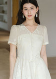 Splendor Mist Apricot Sequin Embroidered Cheongsam Dress