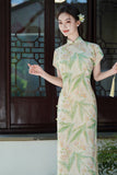 Cathy Velvet Glow Qipao Cheongsam
