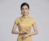 Larkspur Silk Modern Cheongsam Dress