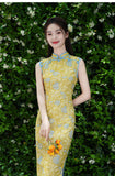 Imani Beautiful Qipao Cheongsam