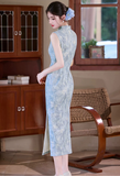 Fuchsia Light Blue Elastic Mesh Cheongsam