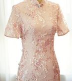 Eloise Pink Modern Cheongsam Dress