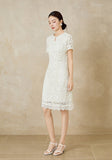 Duchess Beige Lace Cheongsam Dress