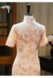 Valentina Pink Modern Cheongsam Dress