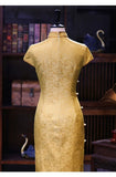 Larkspur Silk Modern Cheongsam Dress