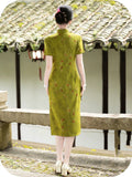 Fiorella Floral Short-Sleeve Cheongsam Dress