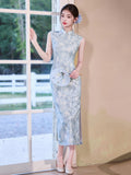 Fuchsia Light Blue Elastic Mesh Cheongsam