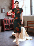 Genévrier Belle Qipao Cheongsam