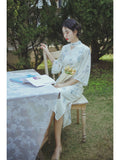 Summer Fascinating Qipao Cheongsam