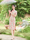 Emani Spectacular Qipao Cheongsam