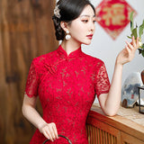 Skyla Splendid Qipao Cheongsam